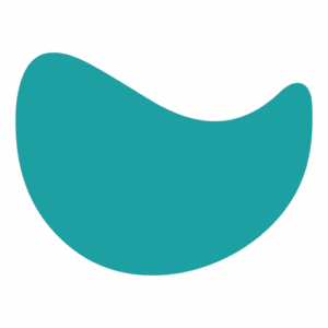 Teem logo — Project Management